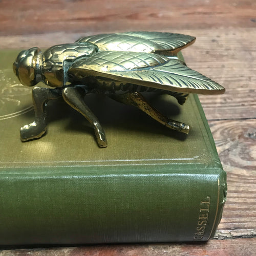 SOLD - Vintage Brass Fly Vesta Matchbox/Trinket Box/ Paperweight