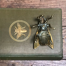 SOLD - Vintage Brass Fly Vesta Matchbox/Trinket Box/ Paperweight