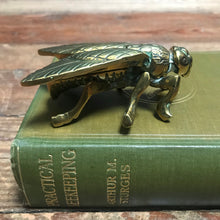 SOLD - Vintage Brass Fly Vesta Matchbox/Trinket Box/ Paperweight