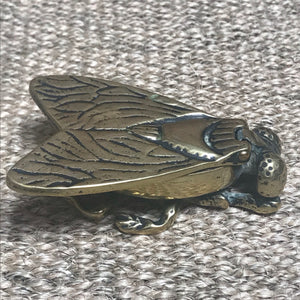 SOLD - Vintage Brass Fly Vesta Matchbox/Trinket Box/ Paperweight