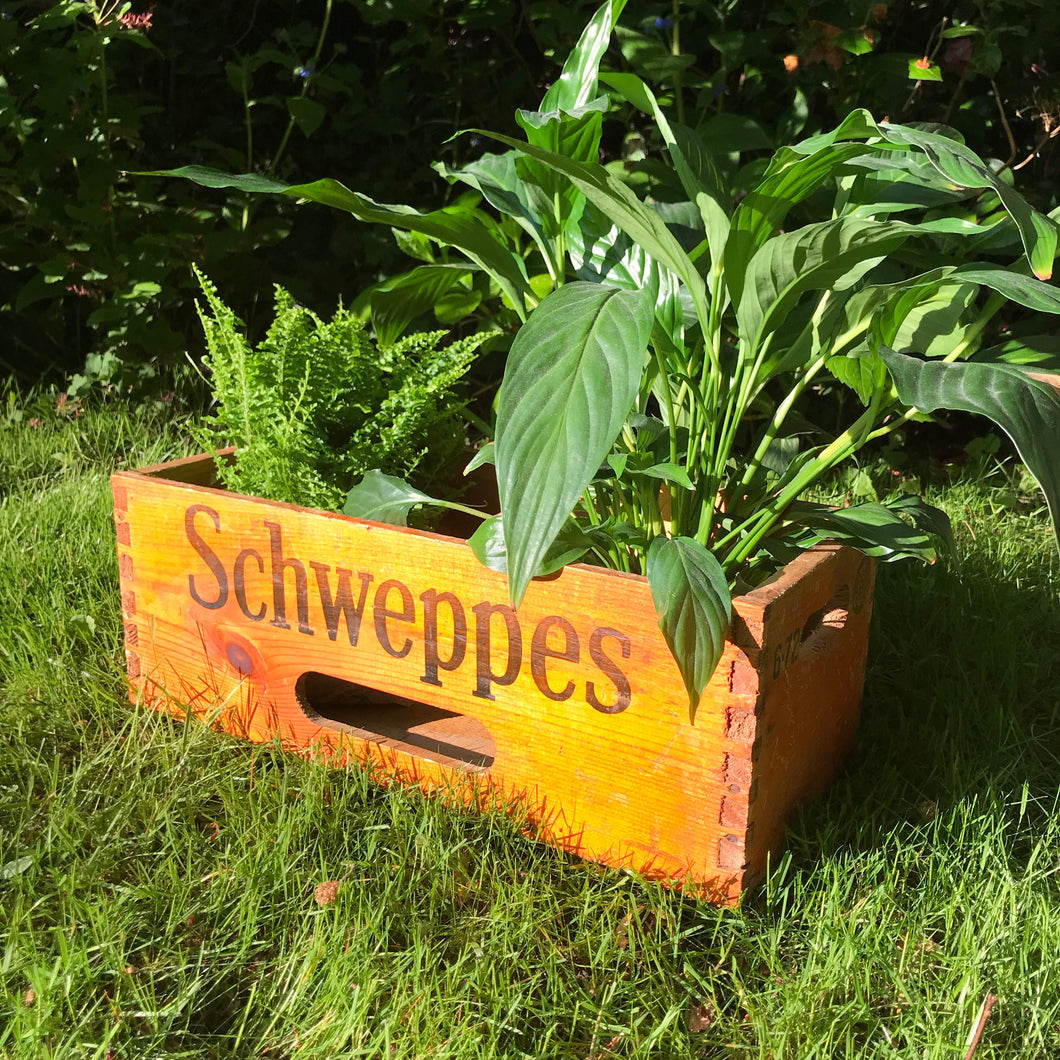 SOLD - Vintage Wooden Schweppes Lemonade Crate