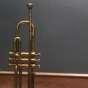 NEW - Nevada Brass Trumpet with case photo 6 | PamPicks