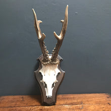 SOLD - Vintage Traditional Style Roe Deer Antlers