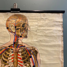 SOLD - Antique Life Size St Johns Ambulance Anatomical Wall Chart