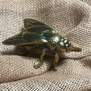 SOLD - Vintage Brass Fly Vesta Matchbox/Trinket Box/ Paperweight