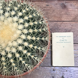 SOLD - Vintage ‘Cacti’ Observer Book