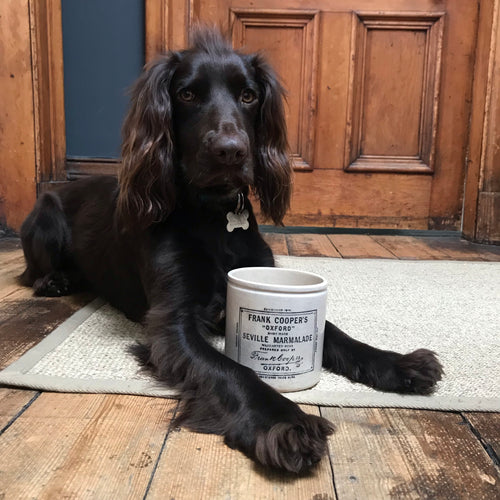 SOLD - Vintage Frank Cooper, Oxford Marmalade Jar